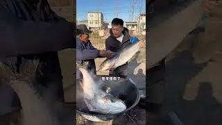 拿手大爷炖花莲鱼800元 #瓜子二手车 #拿手大爷#农村美食