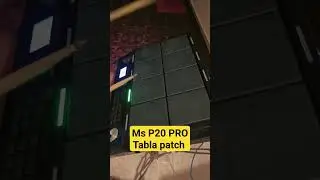 MS-P20 PRO OCTAPAD TABLA PATCH