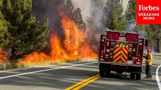How Can You Take Action To Prevent Wildfires? Oregon's Fire Chief Gives Tips