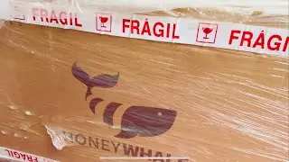 UNBOXING: HONEY WHALE H4