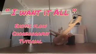 Spin Pole Exotic Flow Choreography Routine Level 1 & 2 Tutorial by Roxxpole - &ldquo;I want it all&rdquo;
