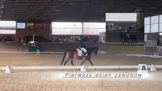 Vlog#120|| Pierwszy dzień zawodów 
