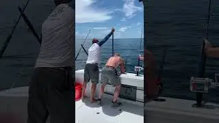 #swordfish @MercuryMarine @garminaudio @GrundensUSA #fullvideo