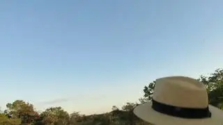 LION ATTACK HORSE SAFARI