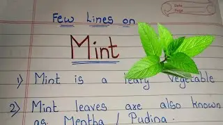 12 lines on Mint/ Essay on Mint Leaves in english/ Mint essay