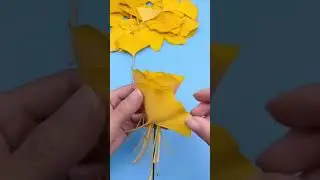Ginkgo biloba Make a bouquet of ginkgo leaves for the person you like ❤️ #love