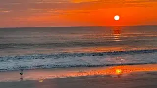 East Coast Sunshine 🌞 