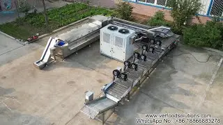 Vegetable Blanching Cooling Air Drying Vibration Screen Process Line Test for Italian Customer
