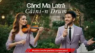 Cel mai bun Cover Balkanic: C&acirc;nd Mă Latră C&acirc;inii n Drum 🎶 Old School Jazz Vibe