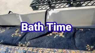 Rug Spa: Rug Cleaning
