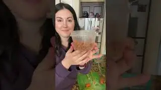 How to make kale taste better!