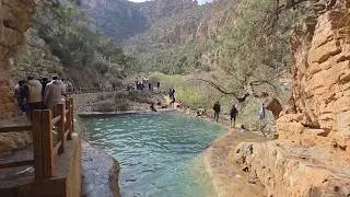 🌧️ بعد أمطار الخير.. زكزل ترجع للحياة من قلب جبال بني يزناسن 