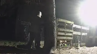 Dog Pen at Night #OshawaDogClub