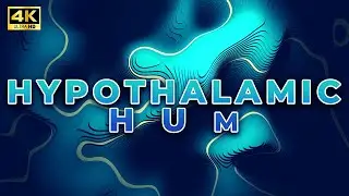 Hypothalamic Hum for Deep Sleep | Pituitary&ndash;Adrenal Axis Healing | 12 Hours | Black Screen