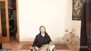 Yoga d&eacute;tox pour la souplesse - Cours de yoga en direct Zoom
