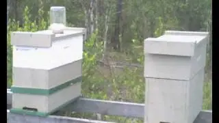A Beekeepers life