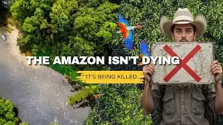 The Amazon Isn&rsquo;t Dying - It&rsquo;s Being Killed #AmazonRiver #Deforestation #ClimateCrisis #SaveTheAmazon