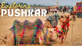 Exploring Pushkar - Camel Safari, Pushkar Lake & Sajjan Bagh Heritage Hotel | Rajasthan VLOG