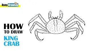 How to Draw King Crab - King Crab Drawing Easy