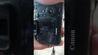 Canon EOS 6D semi-professional with 50mm stm lens 20 mp camara full frame #shorts  #photoediting
