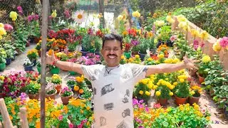 দেখুন আমাদের ফুলবাগানটা কেমন হয়েছে | My Family Vlog Garden Review ||