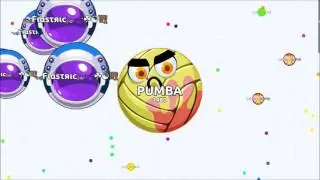 jumbo vs pumba
