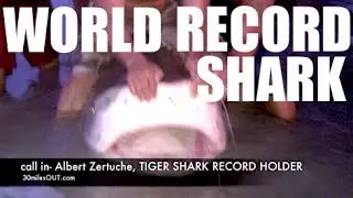CALL IN - WORLD RECORD TIGER SHARK - how to