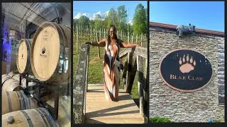 Come with us to Bear Claw Winery in Blue Ridge, GA🍷