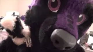 Amythest Ready for Furry Fiesta