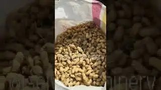 peanut picker machine