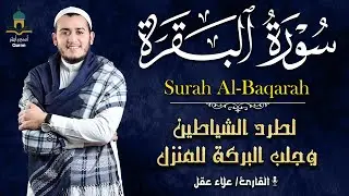 سورة البقرة لطرد الهم والحزن بصوت القارئ علاء عقل 😌