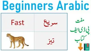 Beginners Arabic | Arabic Words for Beginners | Learn Arabic