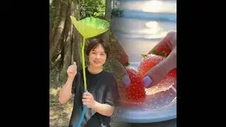 面白い実験に挑戦して笑わせる男女のカップルの劇情は演じて怪しくて爆笑します人気のウイルス式伝播7484897027357248790 Sub 15 00