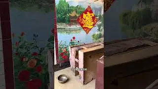 给娘家断舍离的第一天，卧室收拾出来啦，一个好的开始就成功了一半。#农村断舍离#整理#改变从头开始
