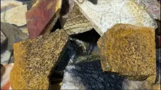 Live! Koleksi Bahan Unik, Setiap Item Beda Karakter
