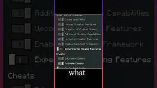 What is experimental molang features in Minecraft pocket edition|| #short #minecraft #memes
