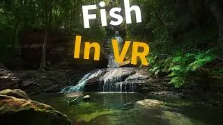 Fish In VR - Overview