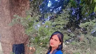pk vlog12 is good morning all of  you
