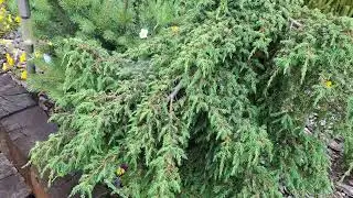Прогуляемся по садовом центру.