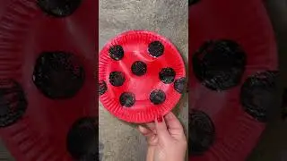 I love paper plate crafts! And this little ladybug is just the CUTEST #preschoolathome #easycrafts