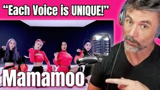Pro Vocal Coach's Vocal Analysis of MAMAMOO- 'Hip' m/v