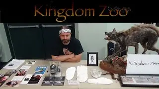 Kingdom Zoo with Chester Moore