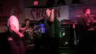 Rock And Roll Lawyer - Chewin' Trees Live in Davie