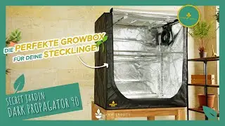 Secret Jardin Dark Propagator Anzuchtbox f&uuml;r deinen Homegrow!