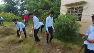 Agriculture fill weed management 