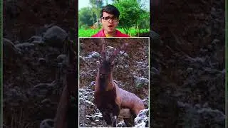 Allah Sabko Rizk Atakarta Hai 😍