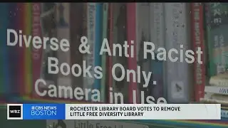 Rochester Library Board of Trustees votes to remove Little Free Diversity Library