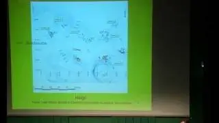 Kultplatser