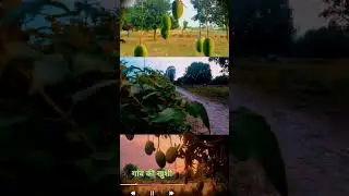 # शॉर्ट वीडियो है भाई ऑन क्लिक में अच्छा लगे तो शेयर करनाpzl