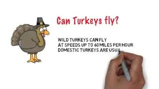 Turkey Trivia